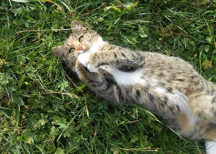 Haus Unterdieterer * Annaberg im Lammertal