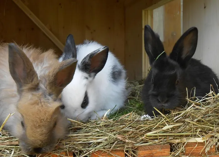 Apartamento Haus Unterdieterer