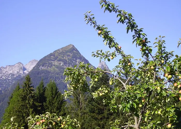 Apartman Haus Unterdieterer Annaberg im Lammertal